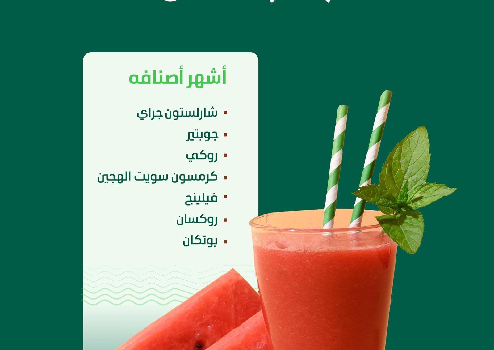 البطيخ يغمر أسواق النفع العام بالمملكة بإنتاج يتجاوز (610) آلاف طن
