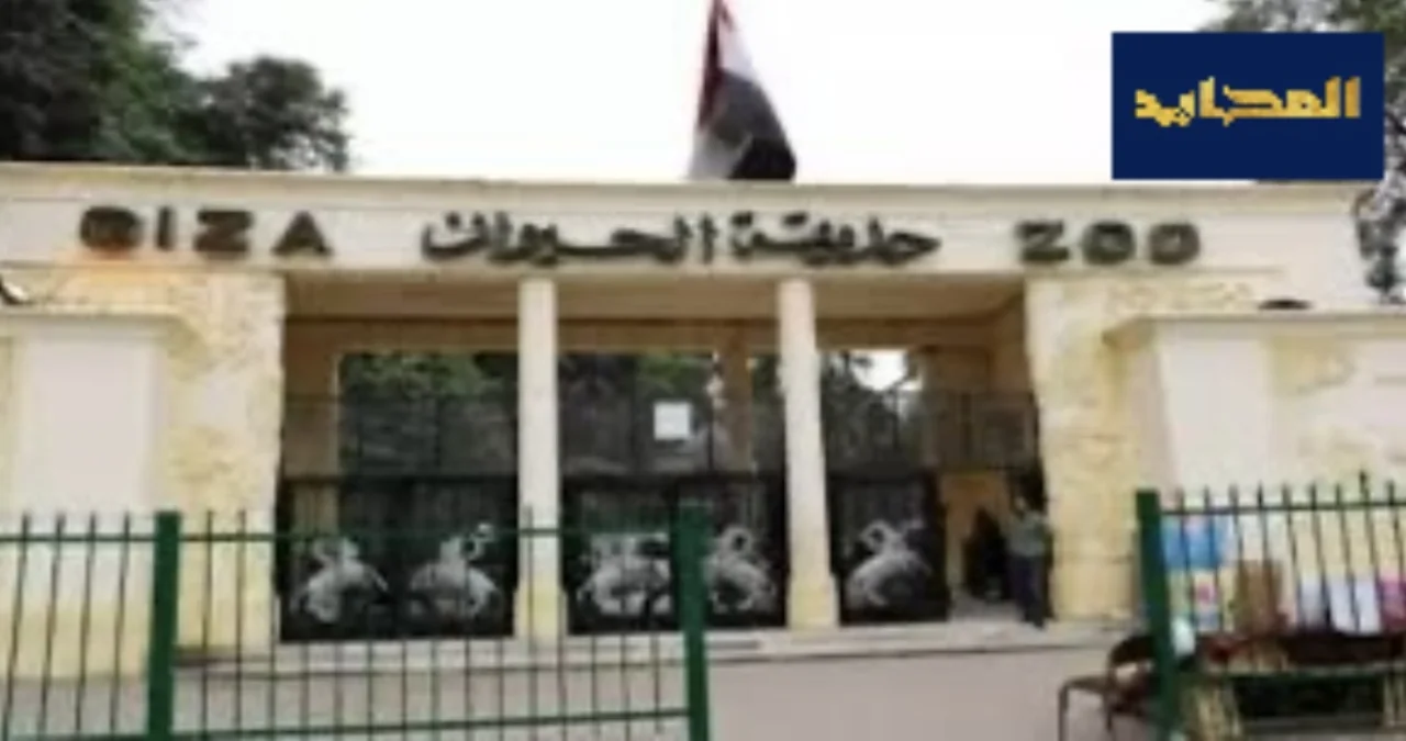 موعد افتتاح حديقة الحيوان بالجيزة بعد التجديد الشامل 2025