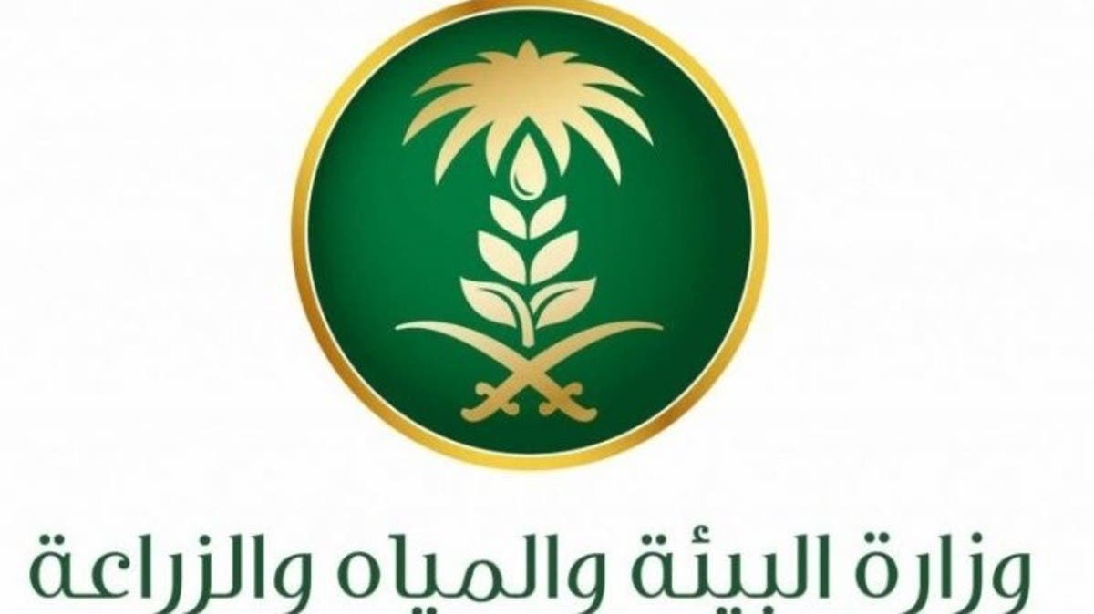 “البيئة” تضع اشتراطات تعبئة وتغليف الخضار والفواكه لضمان جودة وسلامة المنتجات