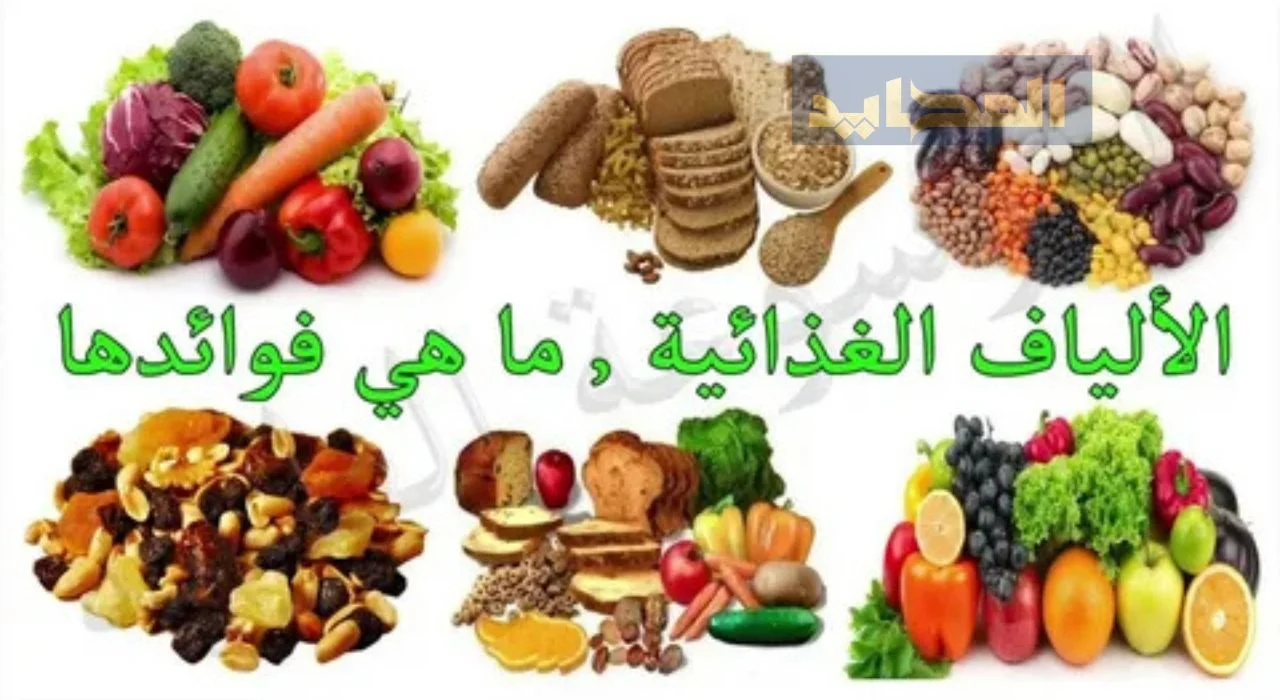 ما هي أفضل أوقات تناول الطعام ..ونصائح عند الشعور بالجوع